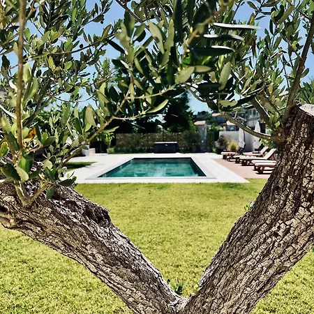 アパートホテル Felix ムルテル