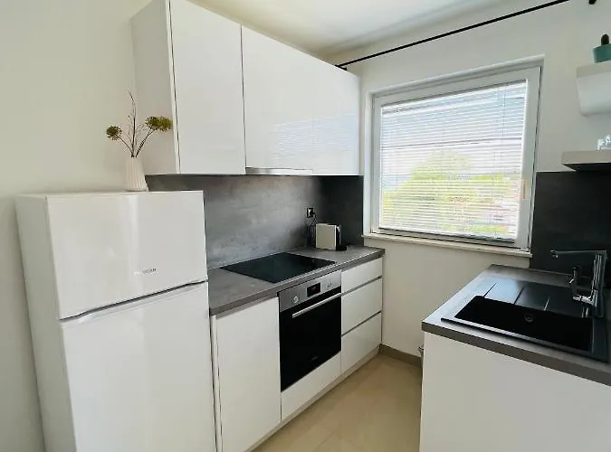 Felix * مورتير